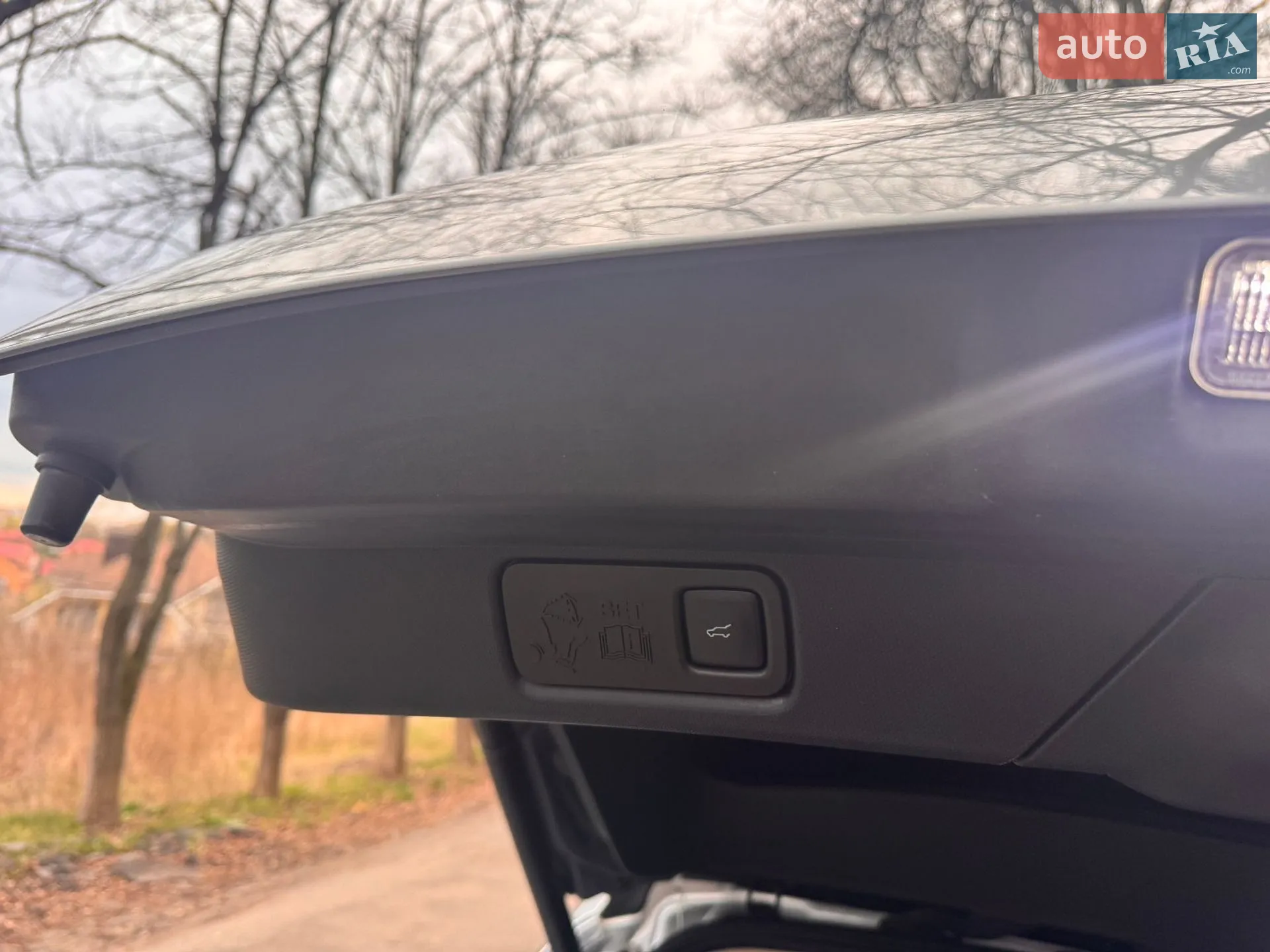 2021 Ford Mustang Mach-E - мініатюра 7