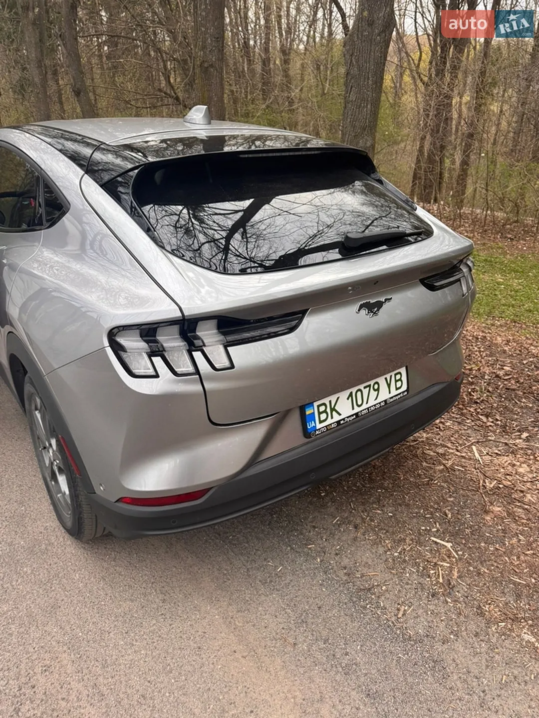 2021 Ford Mustang Mach-E - мініатюра 12