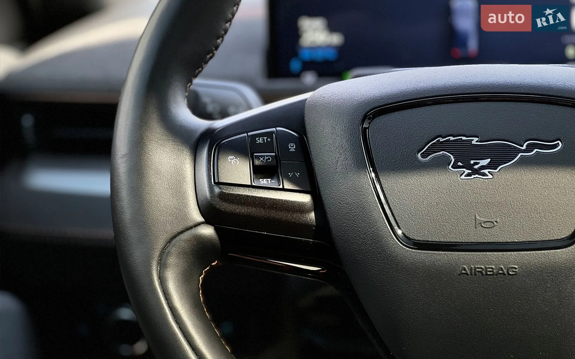 2021 Ford Mustang Mach-E - мініатюра 14