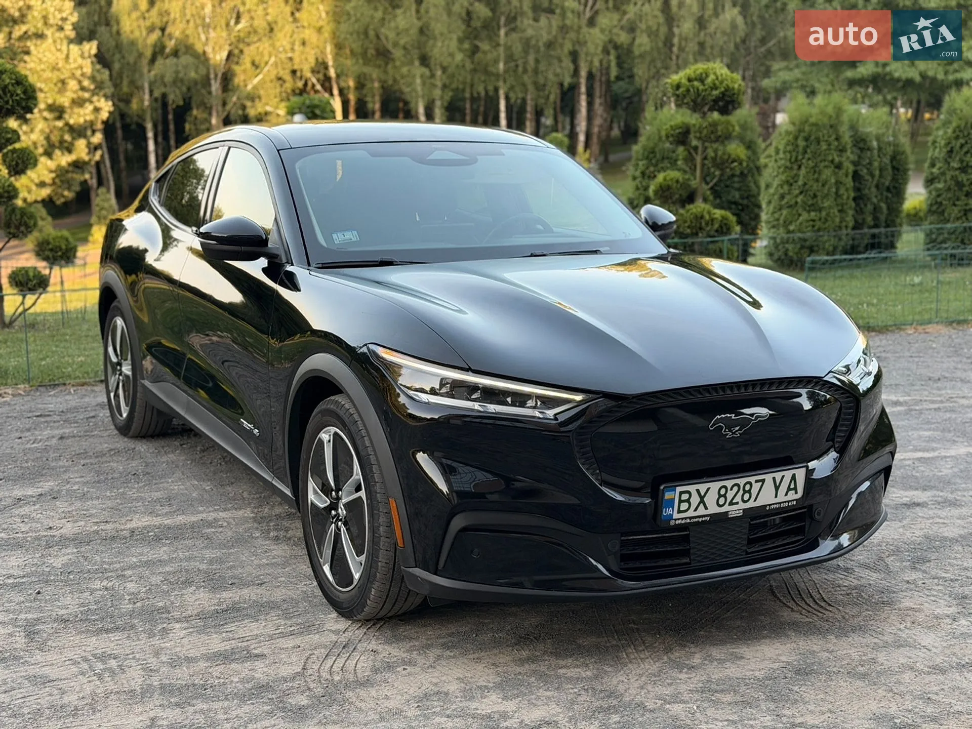 2021 Ford Mustang Mach-E - фото 1