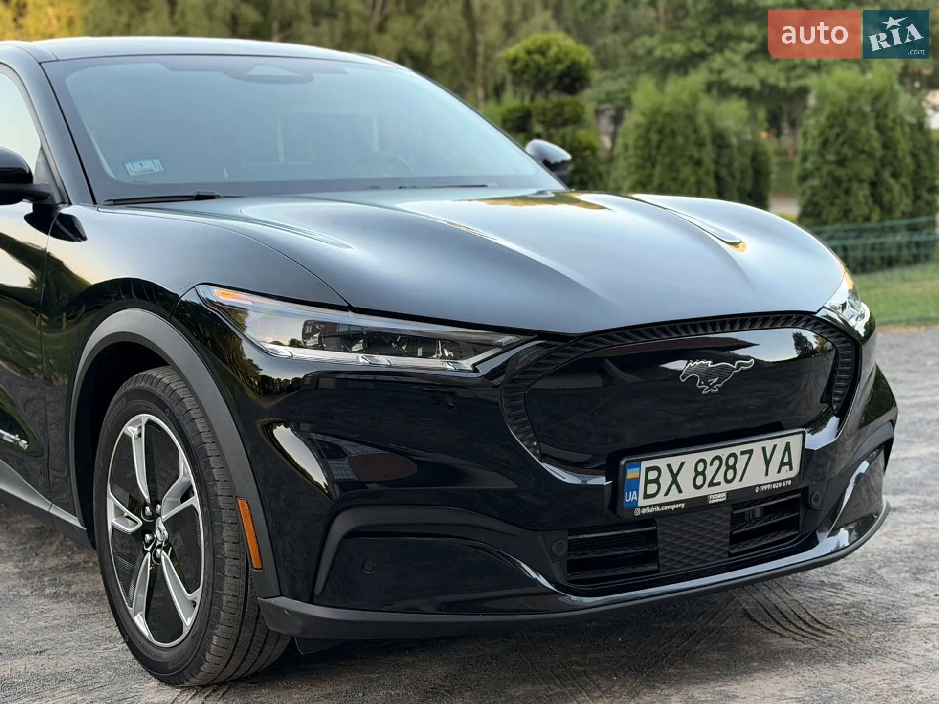 2021 Ford Mustang Mach-E - мініатюра 6