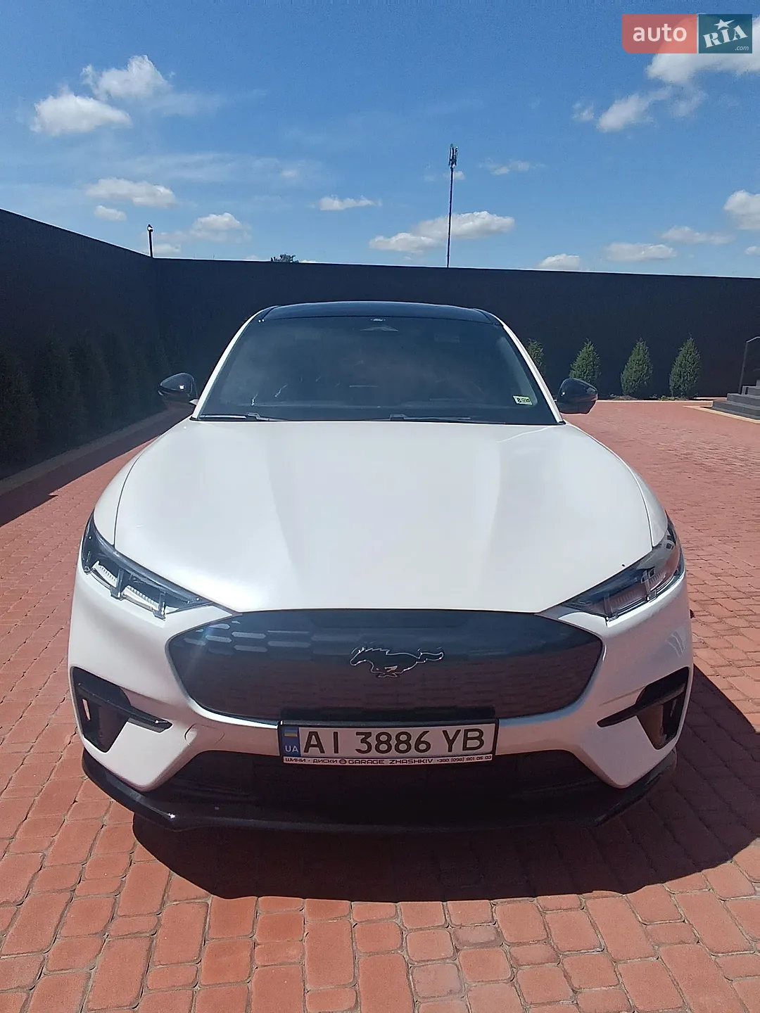 2021 Ford Mustang Mach-E - фото 1