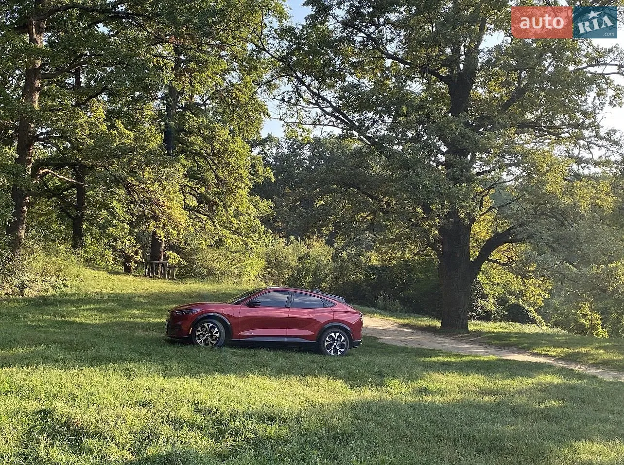 2020 Ford Mustang Mach-E - мініатюра 16