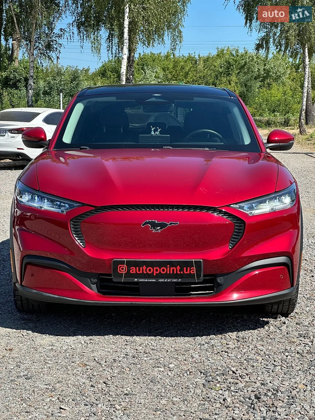 2020 Ford Mustang Mach-E - фото 1