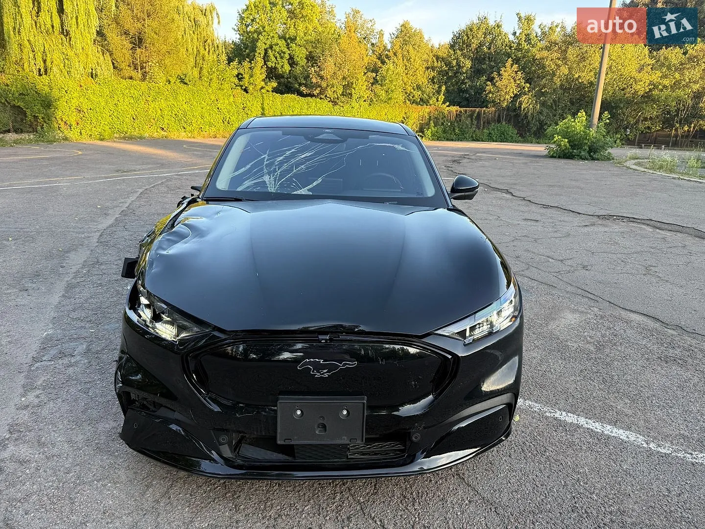 2024 Ford Mustang Mach-E - мініатюра 16