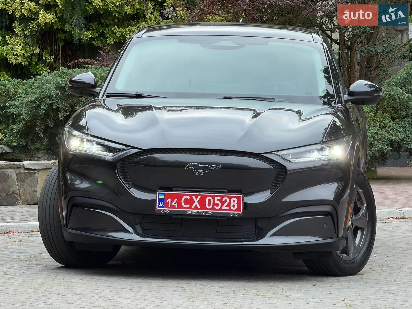 2022 Ford Mustang Mach-E - мініатюра 4
