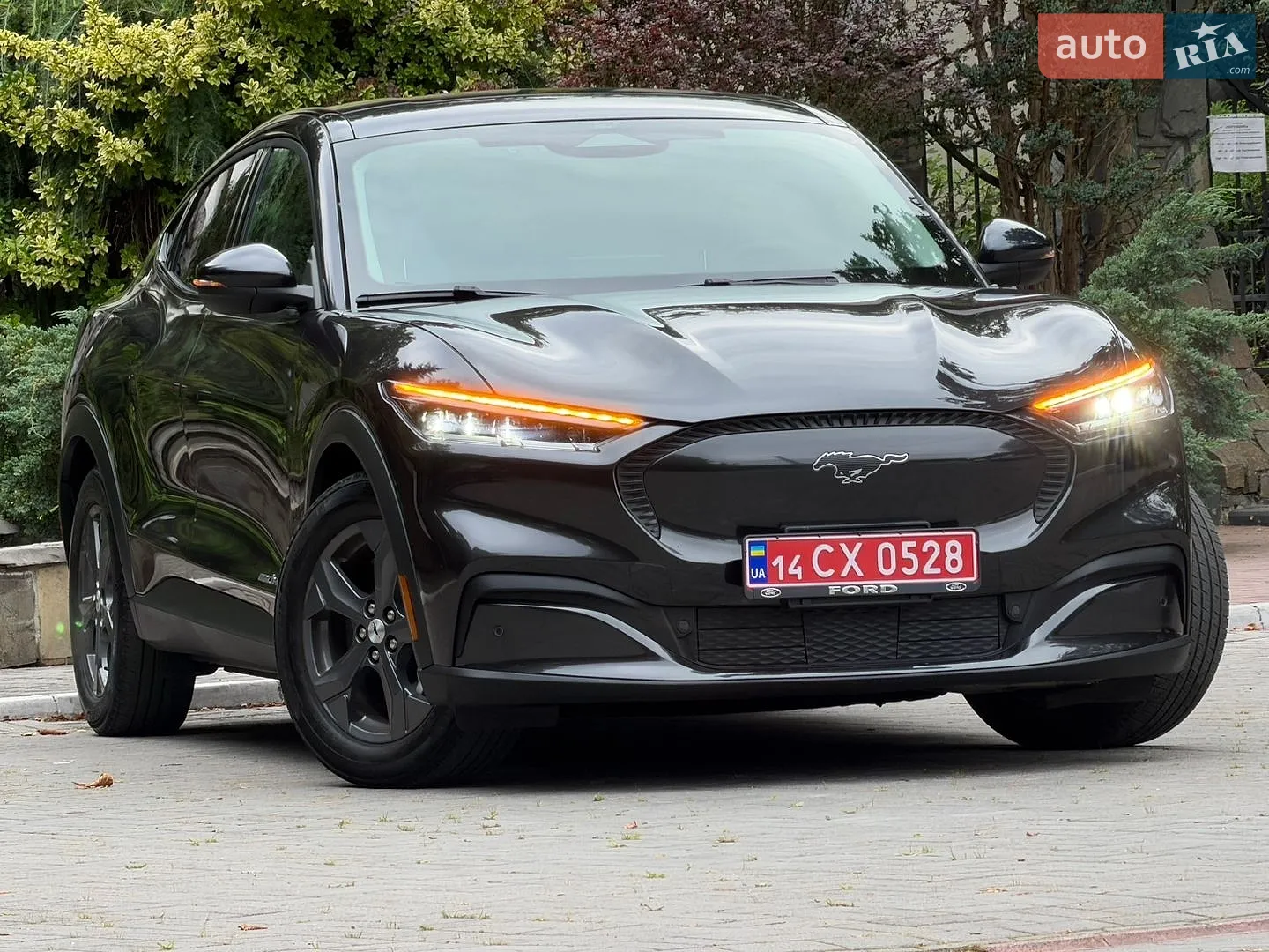 2022 Ford Mustang Mach-E - мініатюра 17