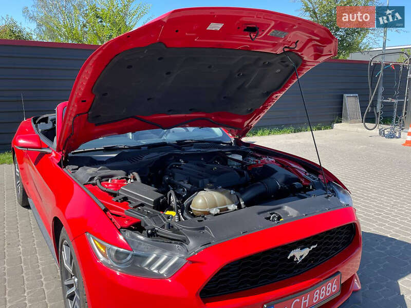 Кабриолет Ford Mustang 2015 в Ковеле фото 45 Кабриолет Ford Mustang 2015 в Ковеле