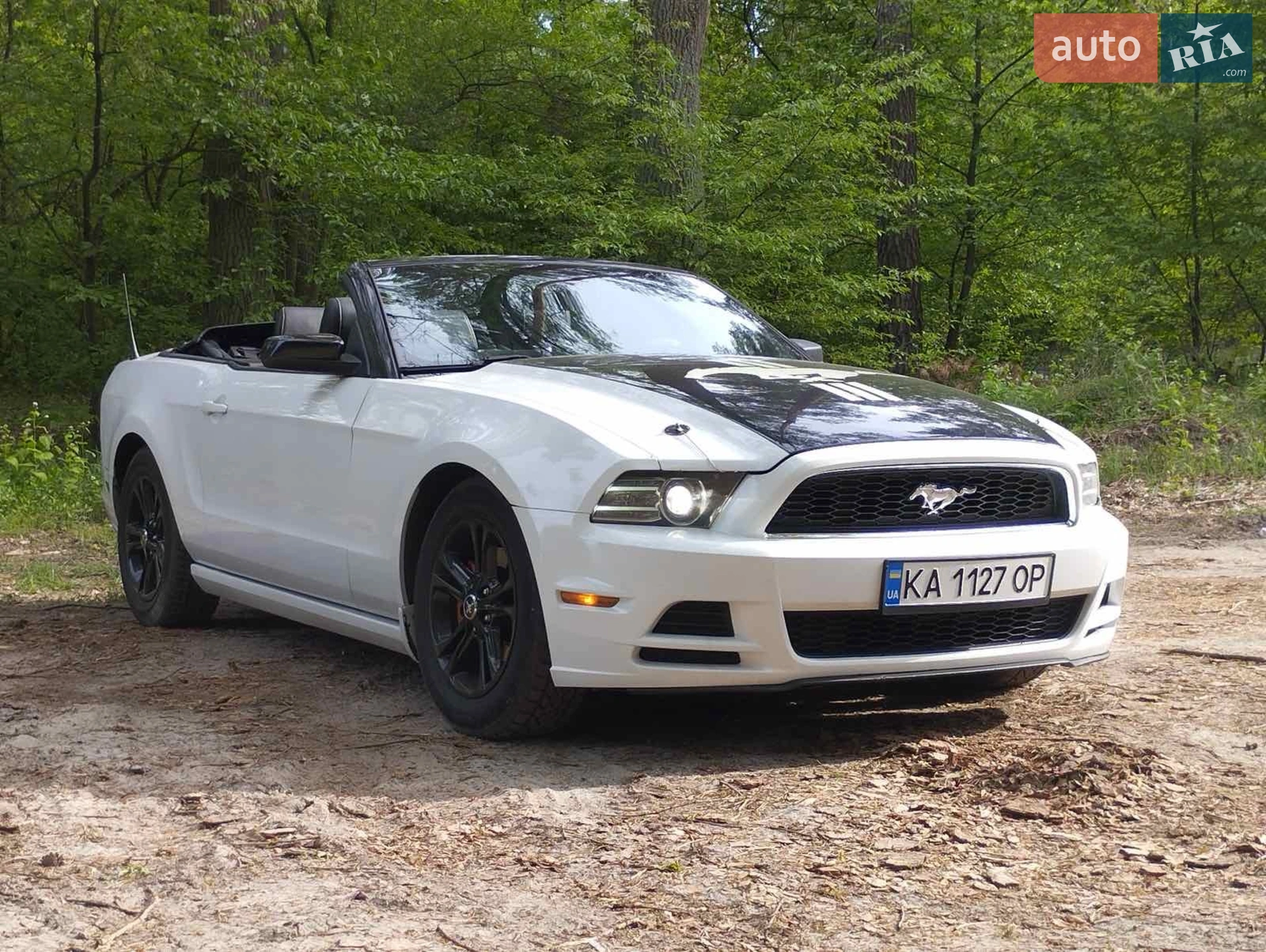 2014 Ford Mustang - мініатюра 38
