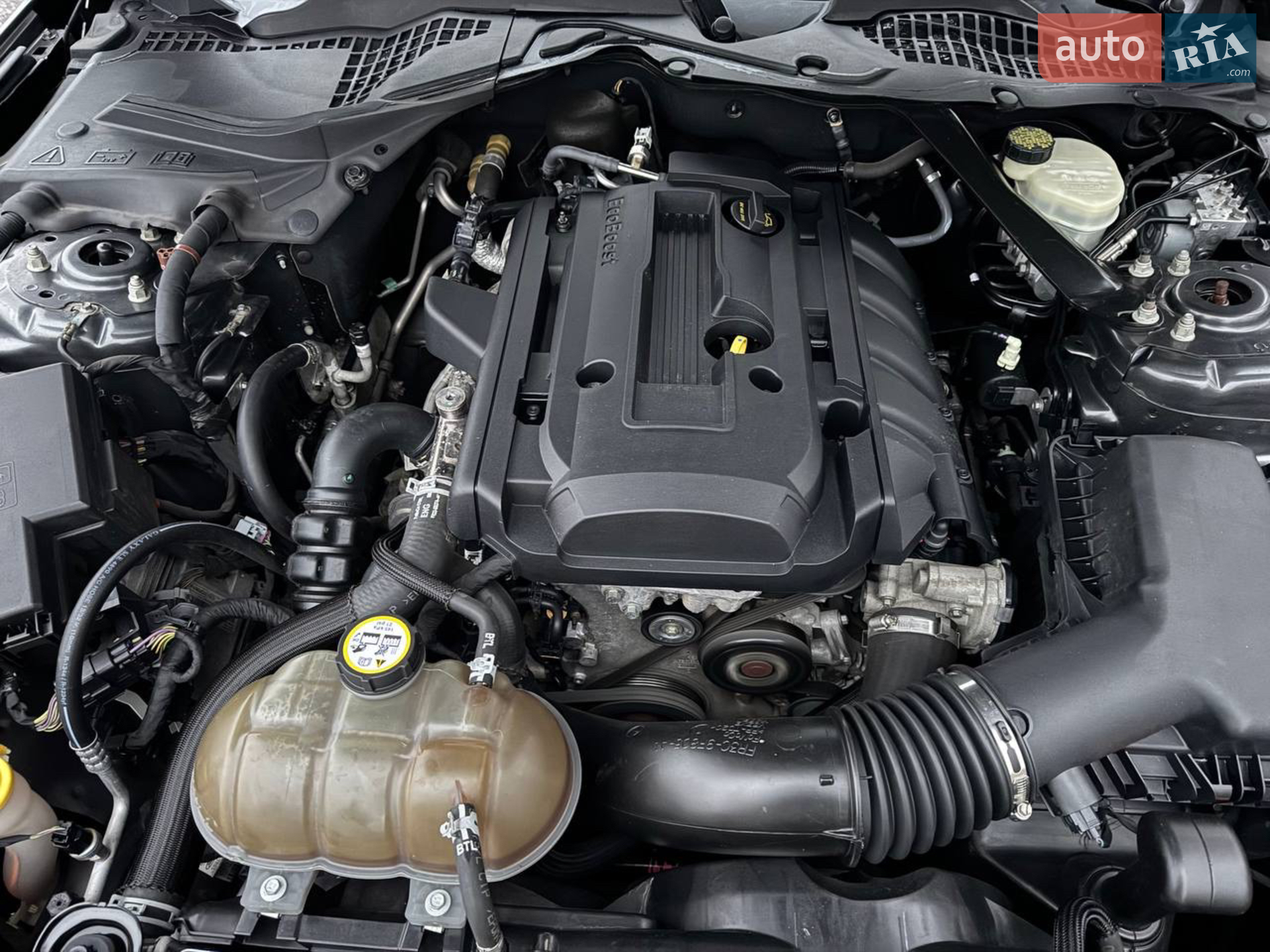 2015 Ford Mustang - мініатюра 16