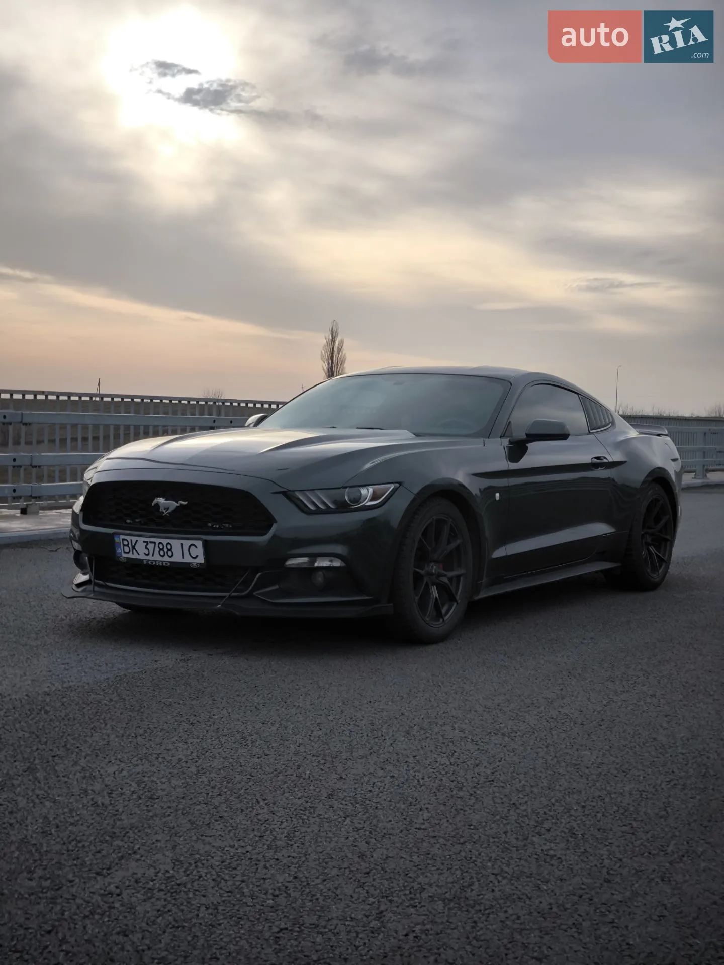 2014 Ford Mustang - мініатюра 3