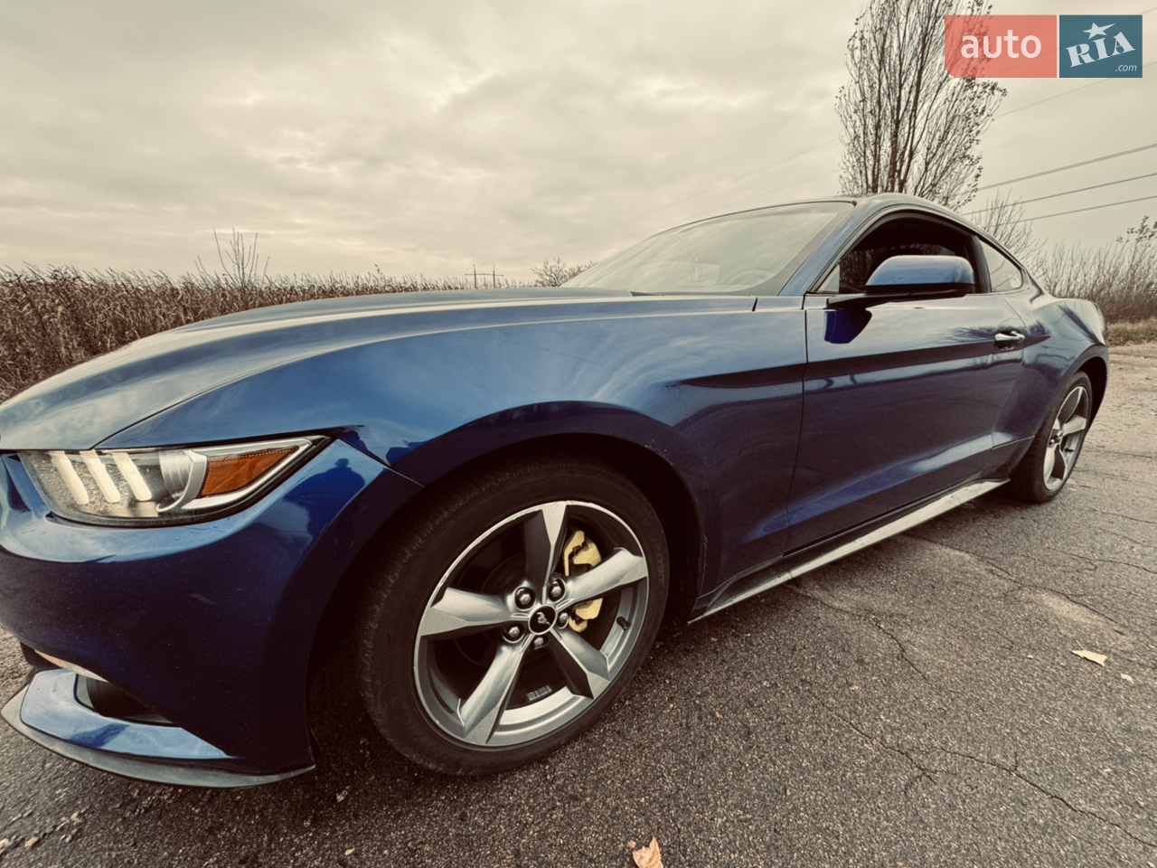 2015 Ford Mustang - мініатюра 11