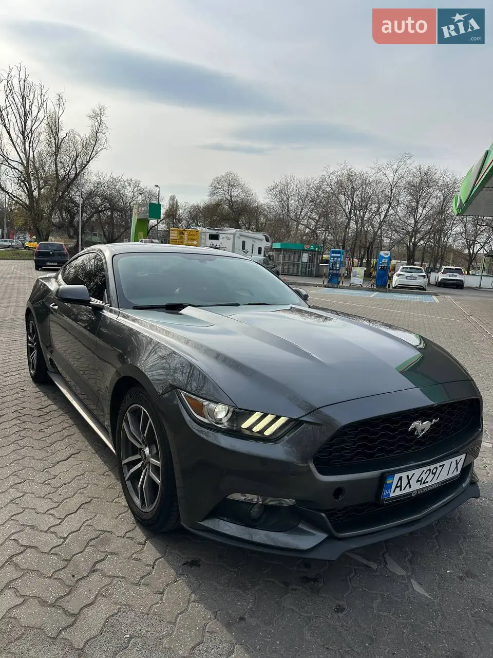 2015 Ford Mustang - мініатюра 22