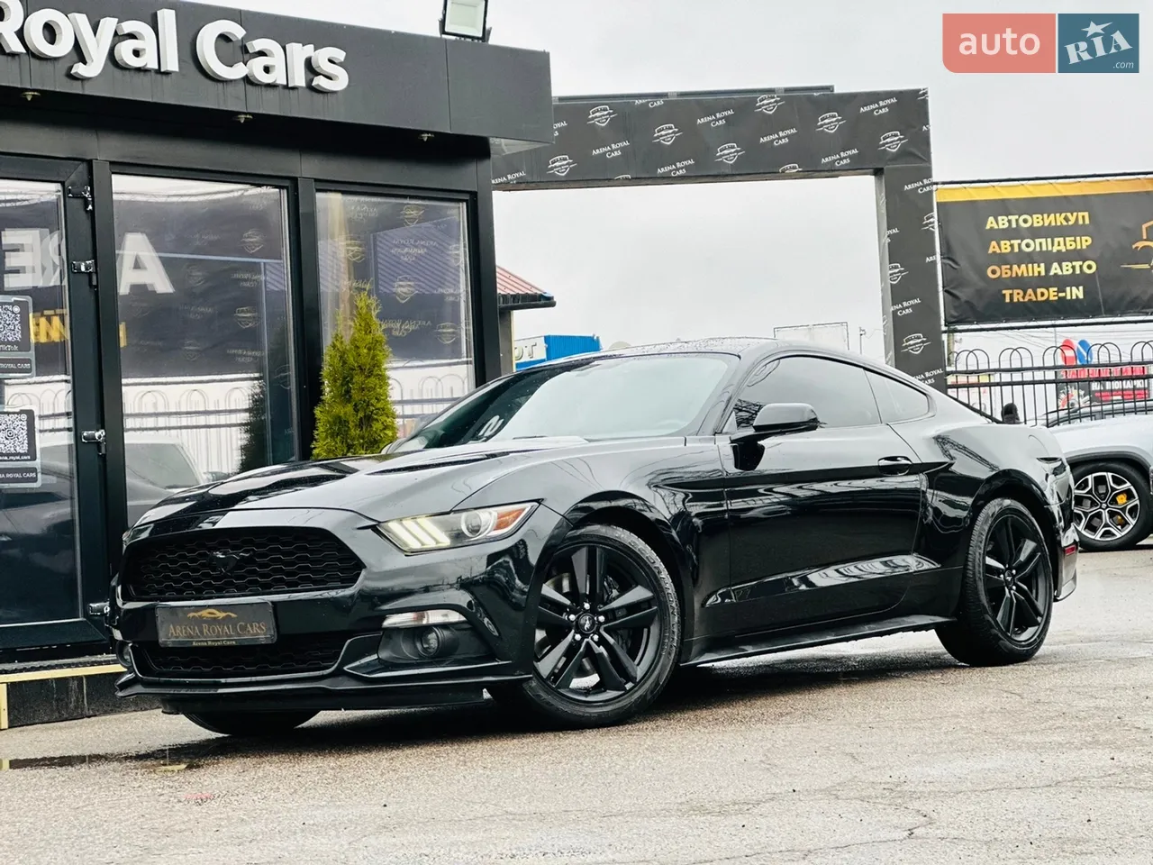 2015 Ford Mustang - мініатюра 12