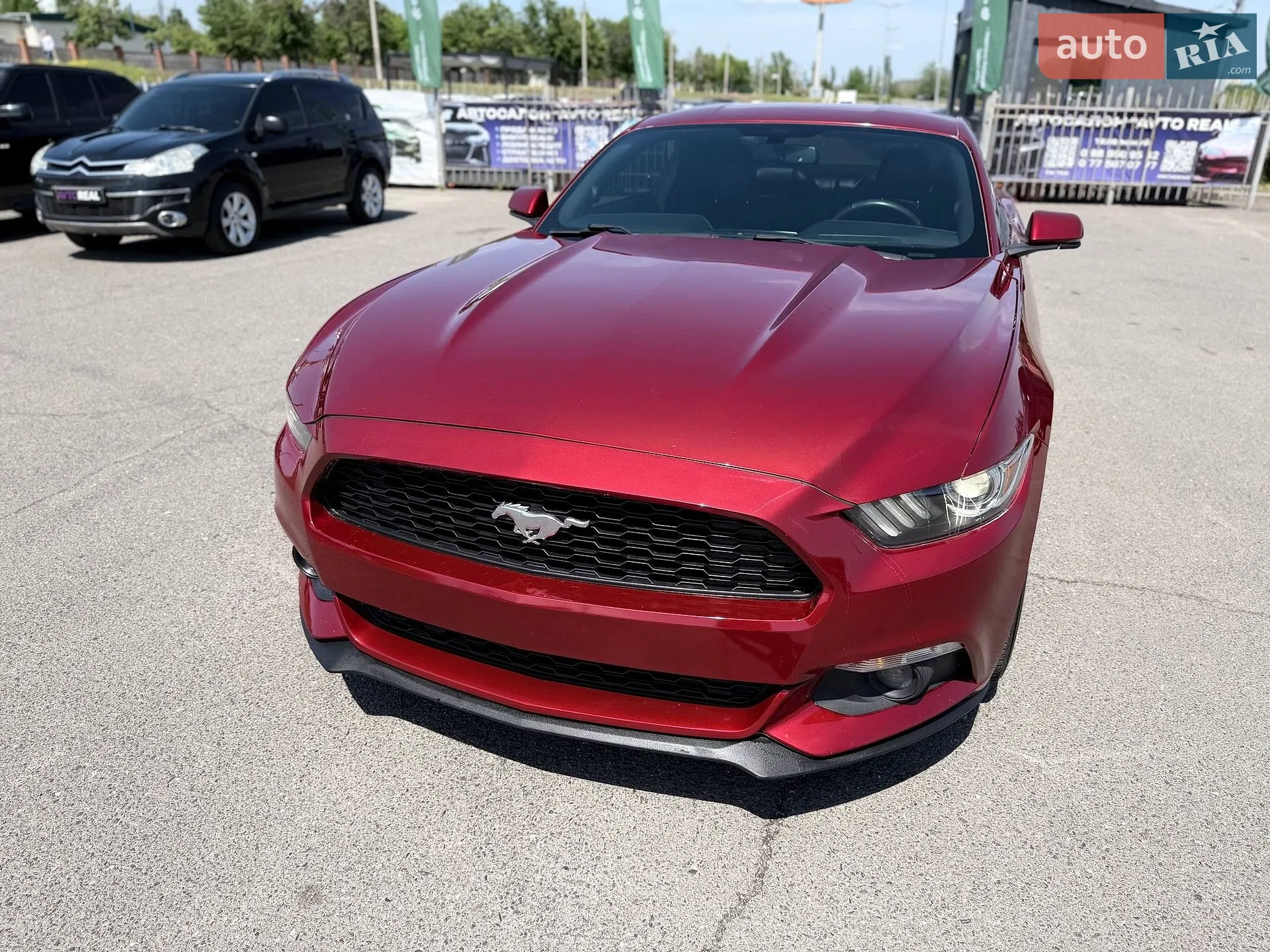 2016 Ford Mustang - мініатюра 16