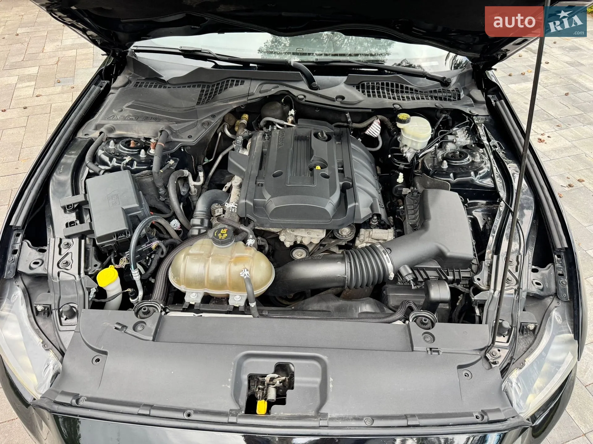 2015 Ford Mustang - мініатюра 50
