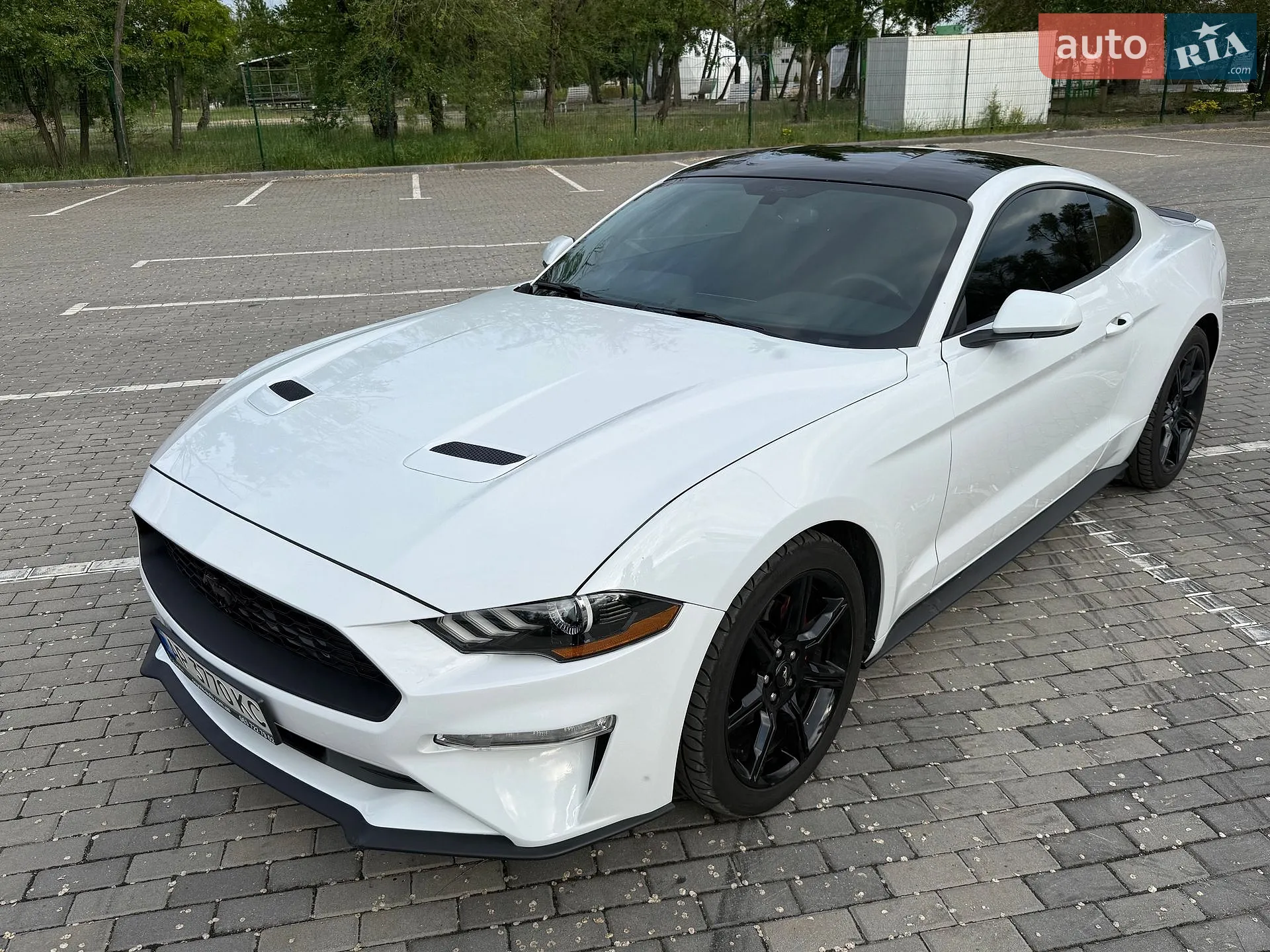 2019 Ford Mustang - мініатюра 12