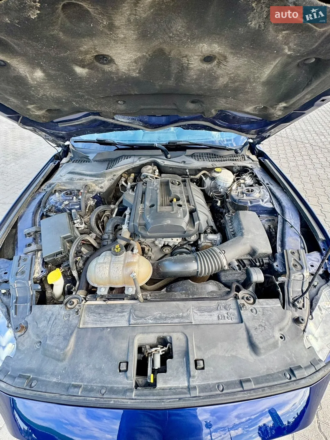 2019 Ford Mustang - мініатюра 24