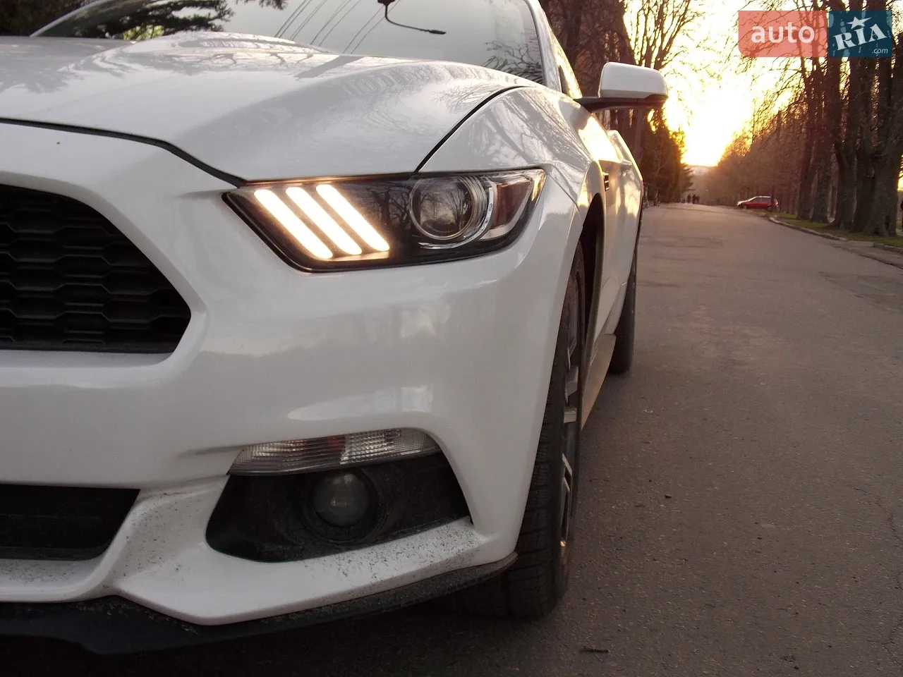 2016 Ford Mustang - мініатюра 27