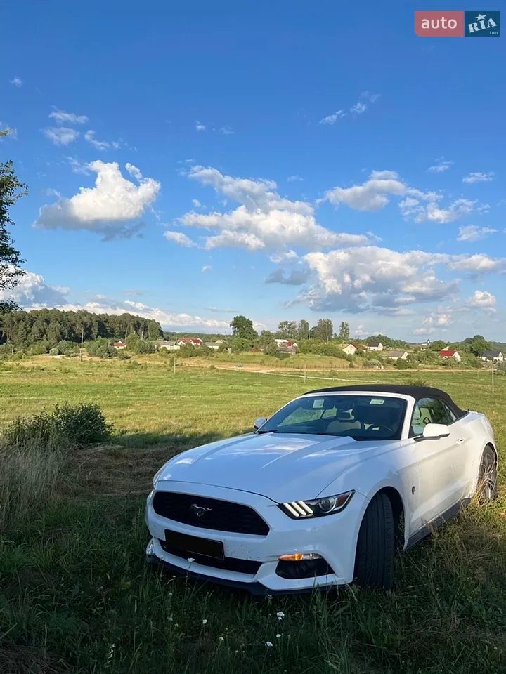 2016 Ford Mustang - мініатюра 25