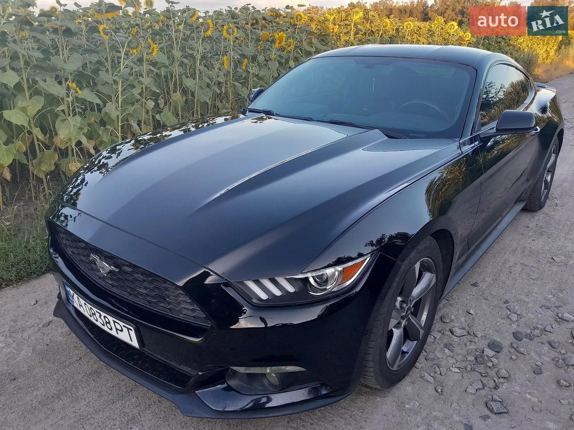 2016 Ford Mustang - мініатюра 4