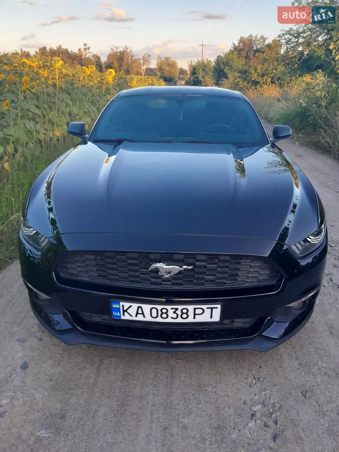 2016 Ford Mustang - мініатюра 3