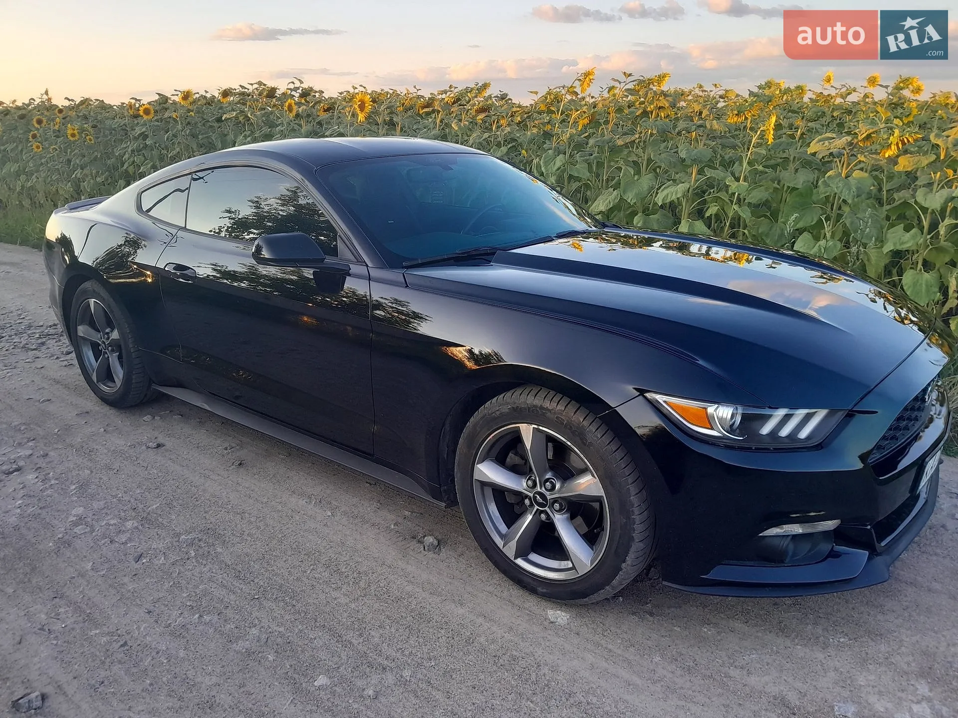 2016 Ford Mustang - мініатюра 17