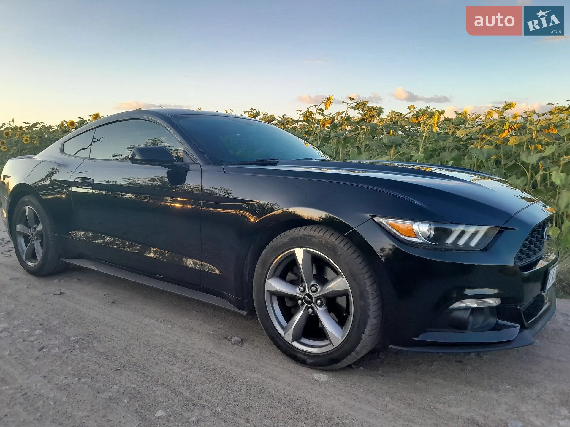 2016 Ford Mustang - мініатюра 18