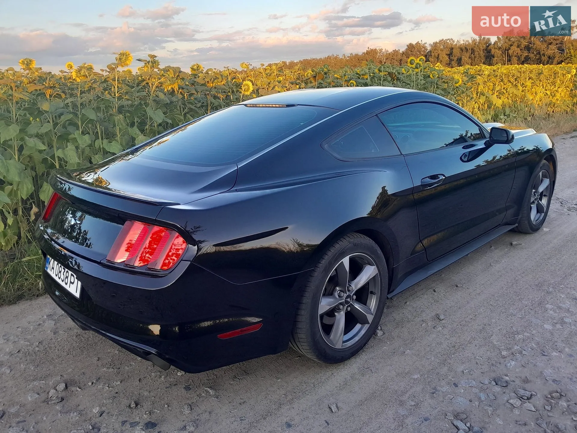 2016 Ford Mustang - мініатюра 19
