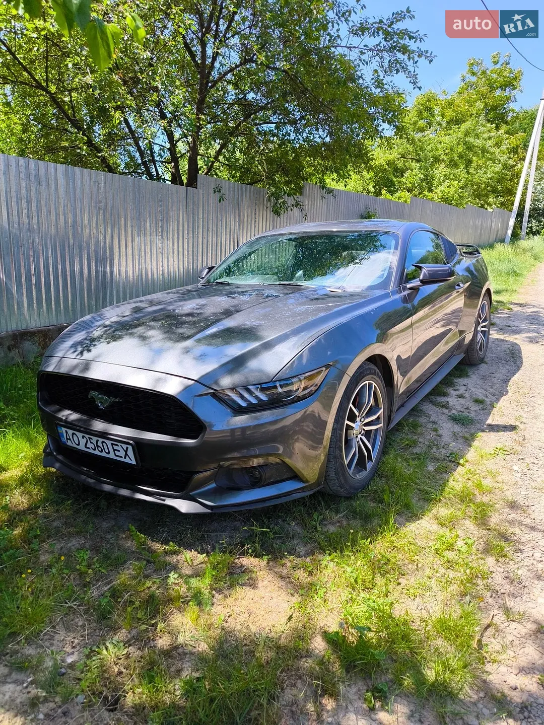 2016 Ford Mustang - фото 1