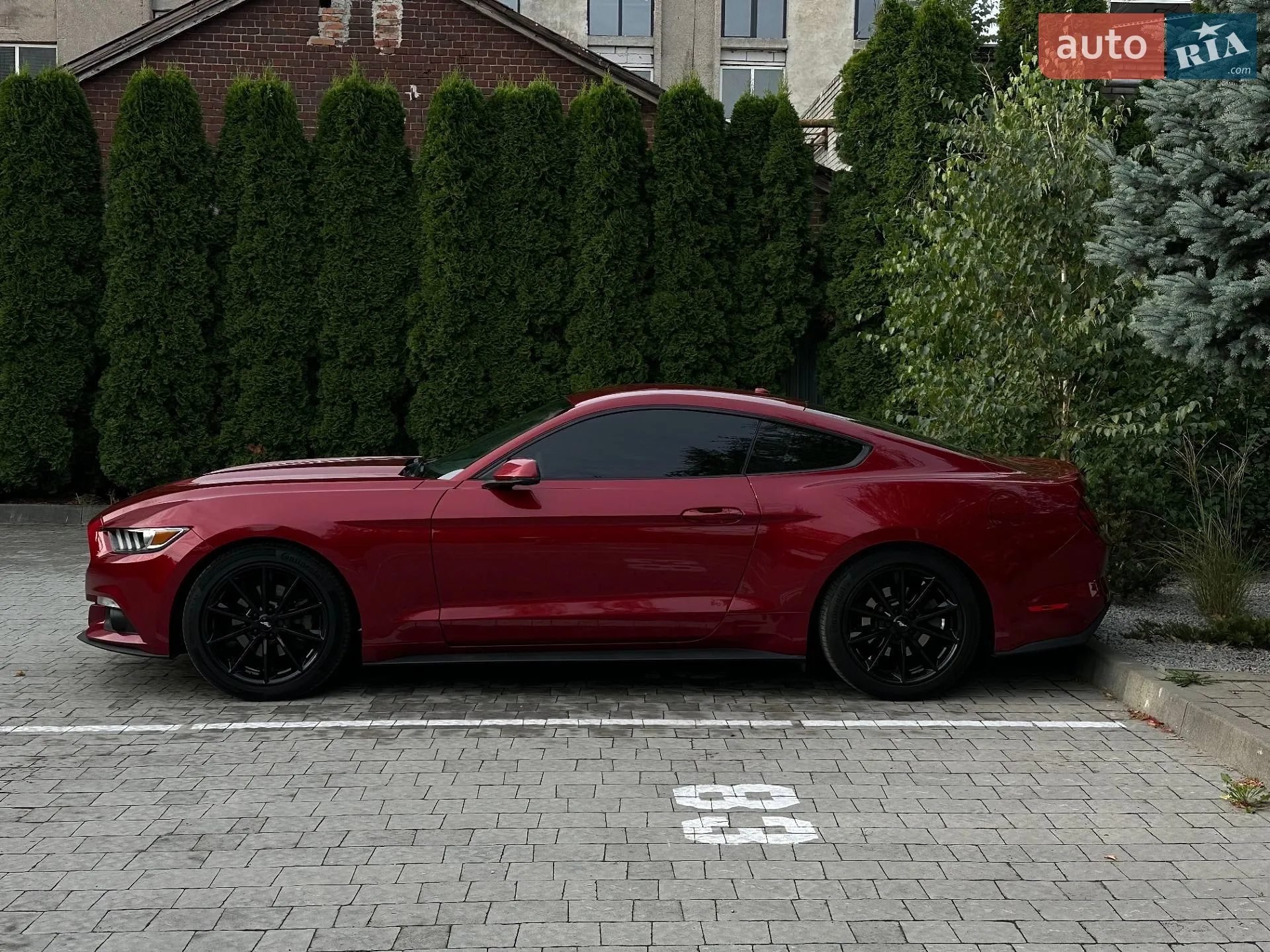 2016 Ford Mustang - мініатюра 16