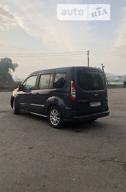 Минивэн Ford Tourneo Connect 2013 в Попельне