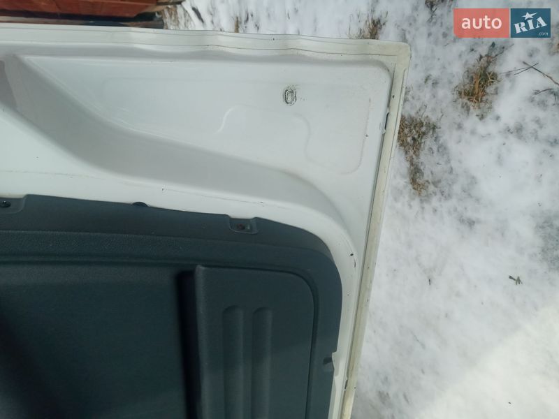 Минивэн Ford Tourneo Connect 2008 в Городнице