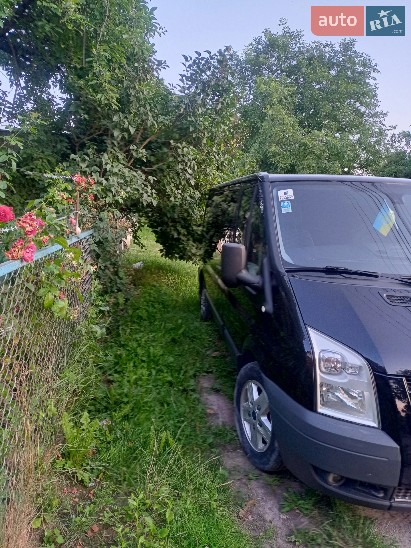 2011 Ford Transit Connect - мініатюра 13