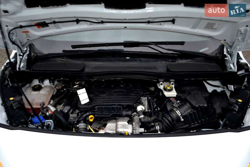 Грузовой фургон Ford Transit Connect 2020 в Хмельницком фото 160 Грузовой фургон Ford Transit Connect 2020 в Хмельницком