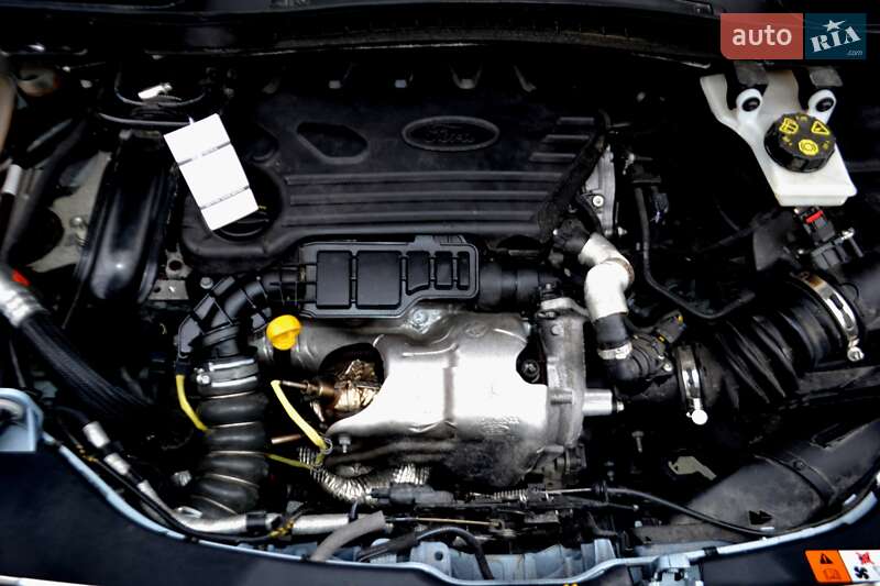 Грузовой фургон Ford Transit Connect 2020 в Хмельницком фото 167 Грузовой фургон Ford Transit Connect 2020 в Хмельницком