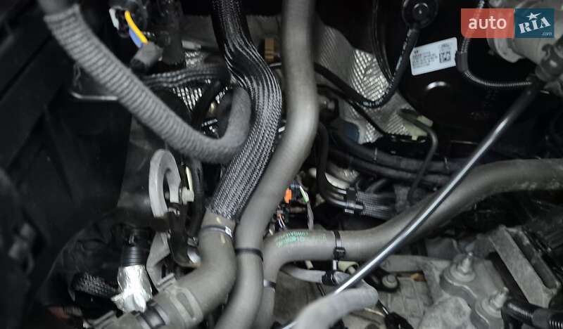 Минивэн Ford Transit Custom 2019 в Киеве фото 40 Минивэн Ford Transit Custom 2019 в Киеве