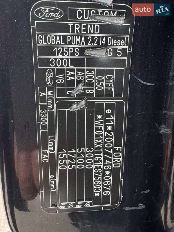 Грузопассажирский фургон Ford Transit Custom 2014 в Киеве