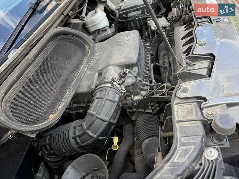 Микроавтобус грузовой (до 3,5т) Ford Transit 2020 в Житомире фото 10 Микроавтобус грузовой (до 3,5т) Ford Transit 2020 в Житомире