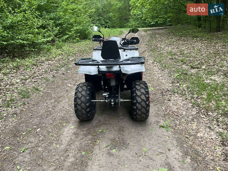 Квадроцикл  утилитарный Forte Braves 200 2020 в Теофиполе