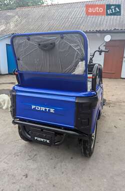 Грузовые трициклы Forte Cargo 2025 в 