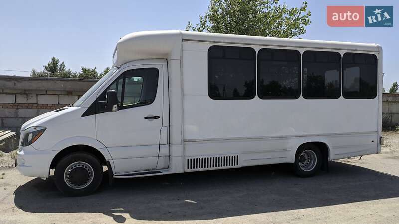 Микроавтобус Freightliner Sprinter 2013 в Запорожье
