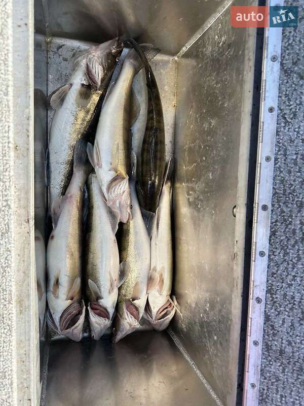 Катер FurSeal 535 2021 в Києві