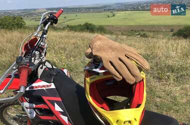 Мотоцикл Внедорожный (Enduro) Gas Gas EC 300 2009 в 
