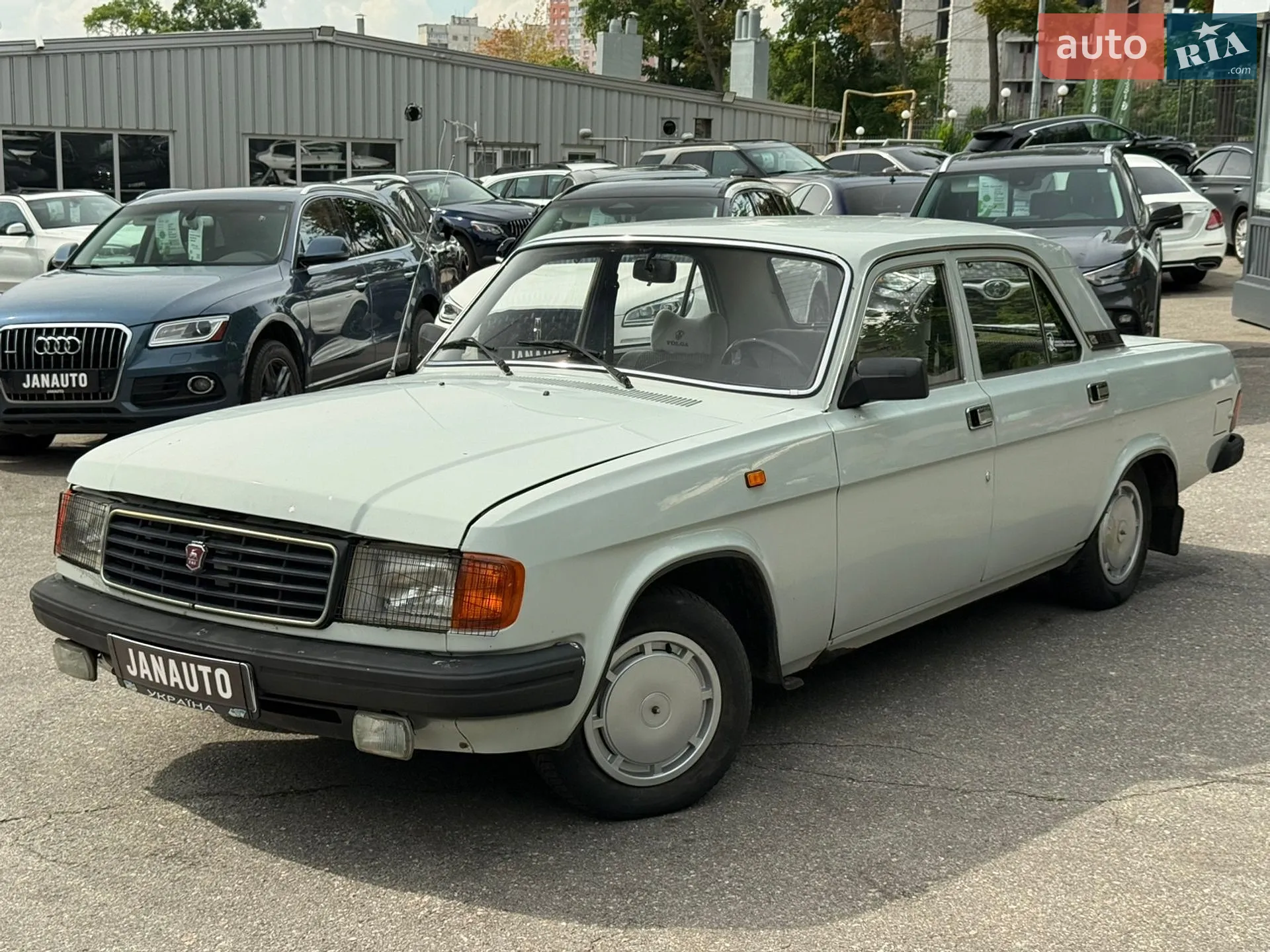 GAZ 31029 Volga 1993 VIN XTH310290P0145542 фото оголошення 4 з 20