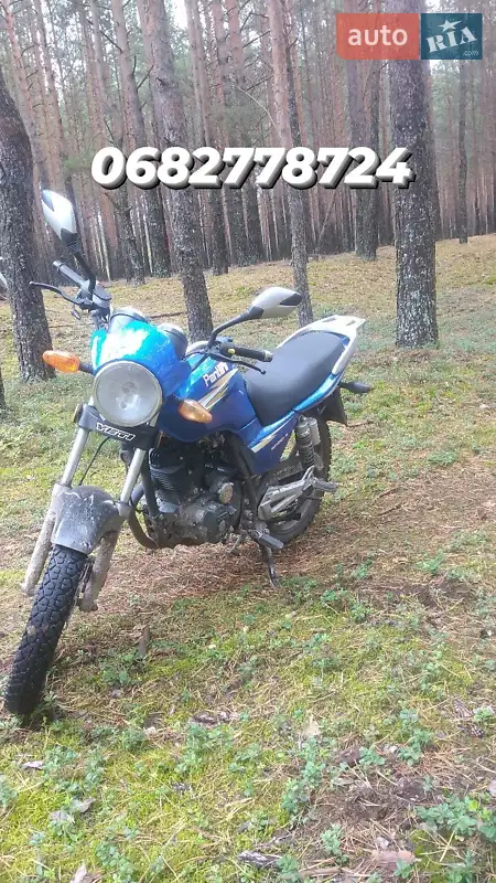 Geon Pantera 2015
