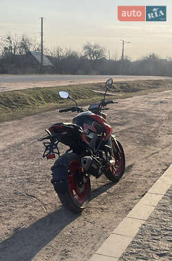Мотоцикл Без обтекателей (Naked bike) Geon Vertex 300 2024 в 