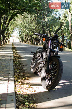 Мотоцикл Круизер Harley-Davidson 883 Iron 2009 в 