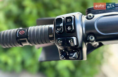 Мотоцикл Туризм Harley-Davidson Touring 2014 в 