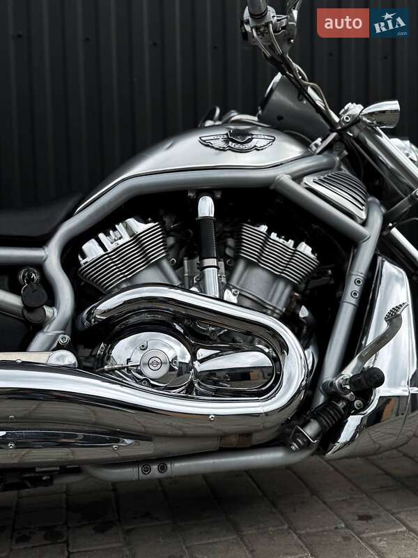 Мотоцикл Круізер Harley-Davidson V-Rod 2003 в Одесі